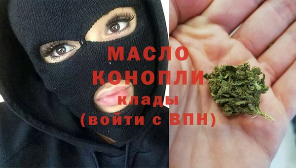 индика Волоколамск